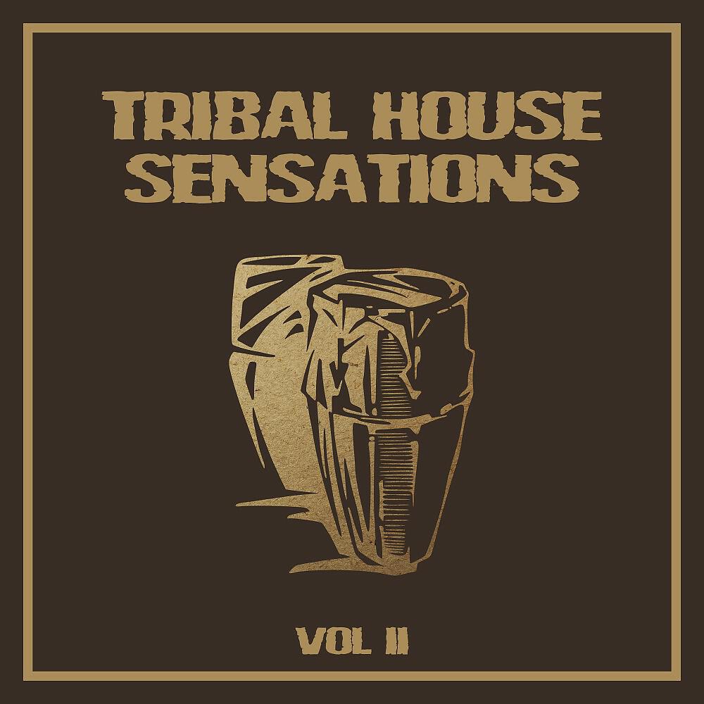 Релиз Tribal House Sensations, Vol. 2