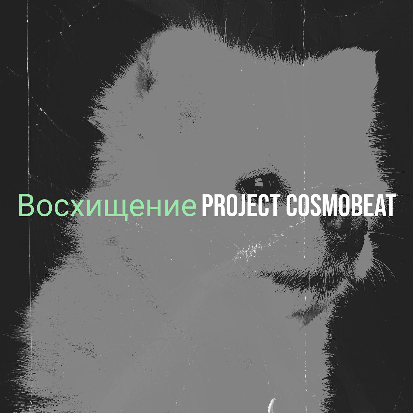 Релиз Восхищение