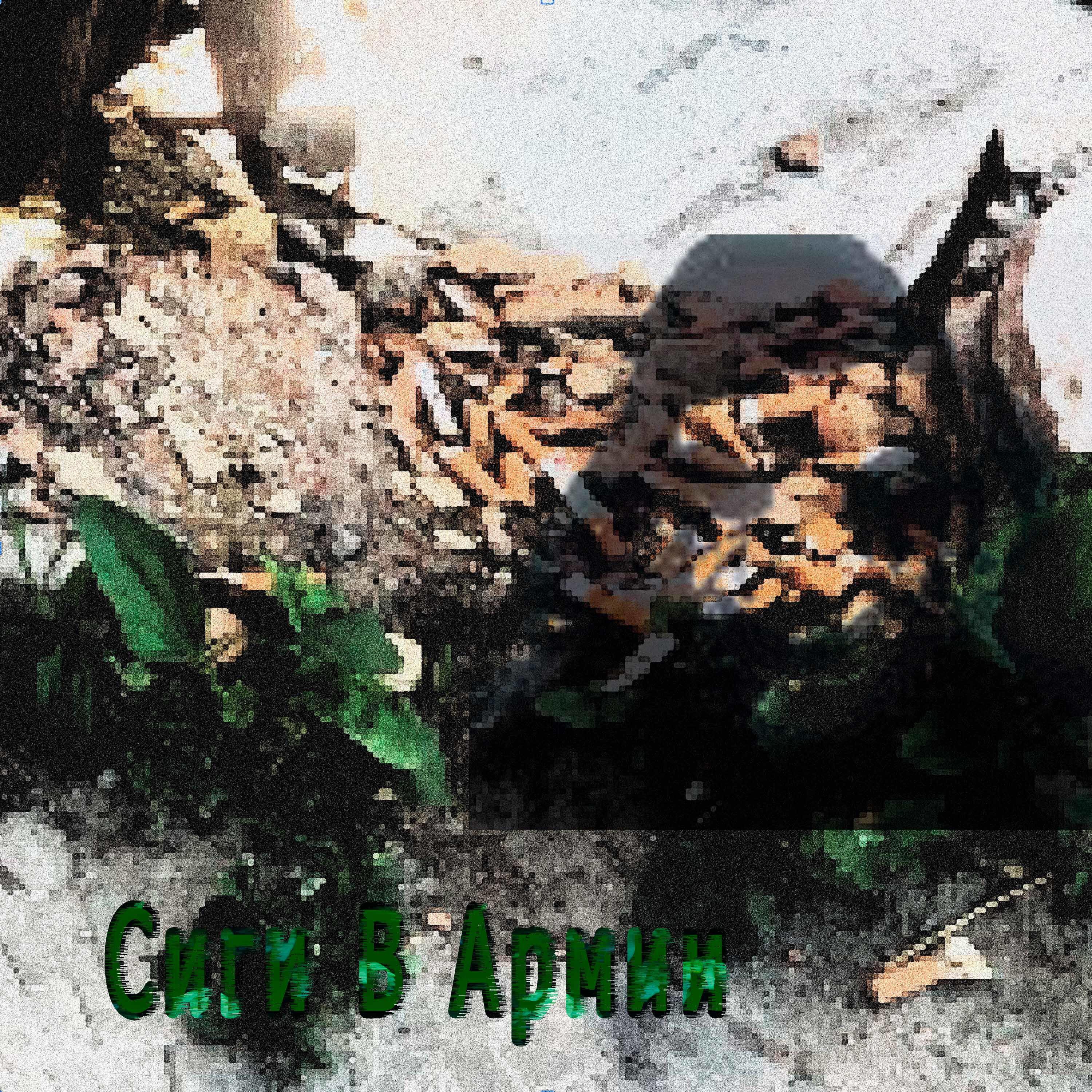 Релиз Сиги в армии