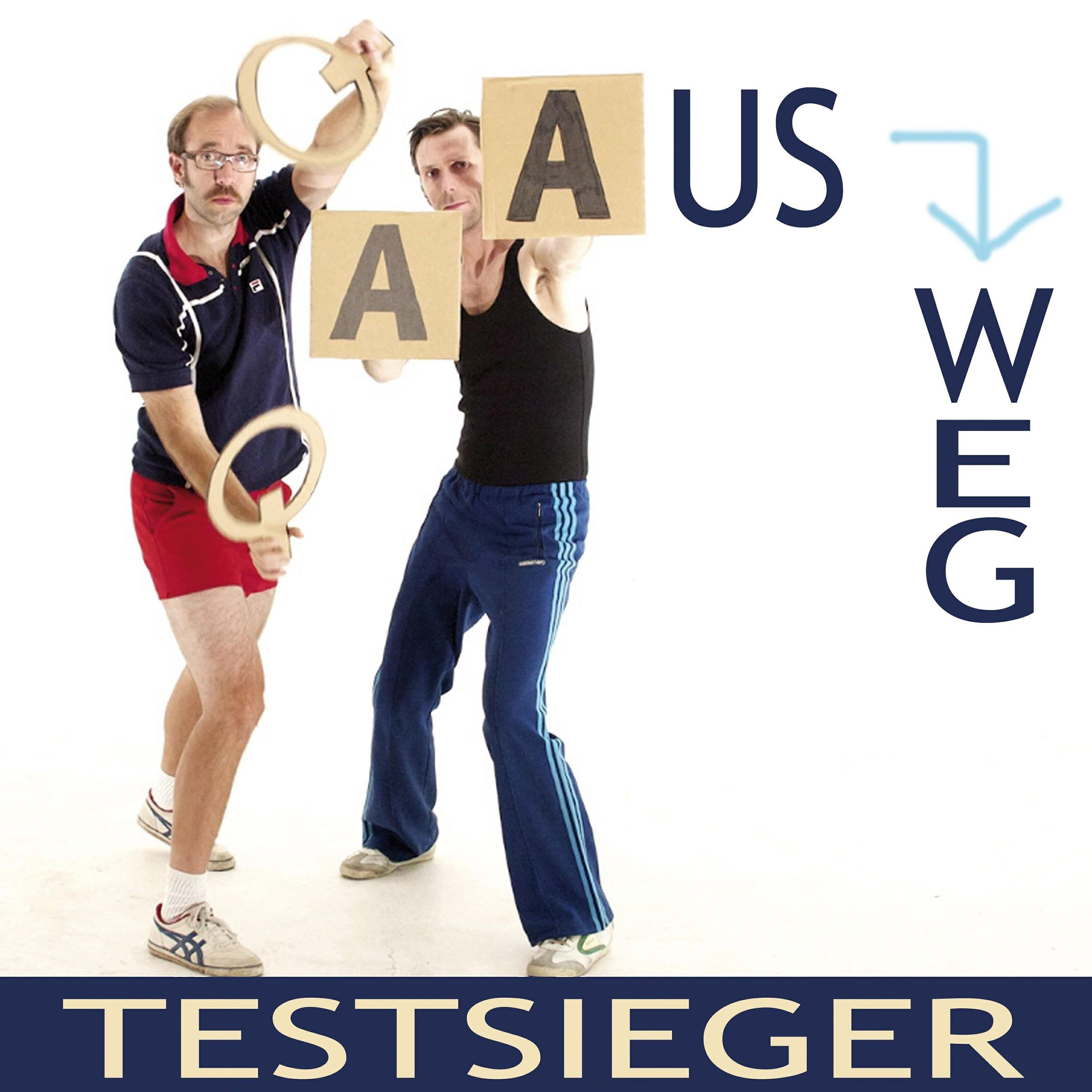 Релиз Ausweg