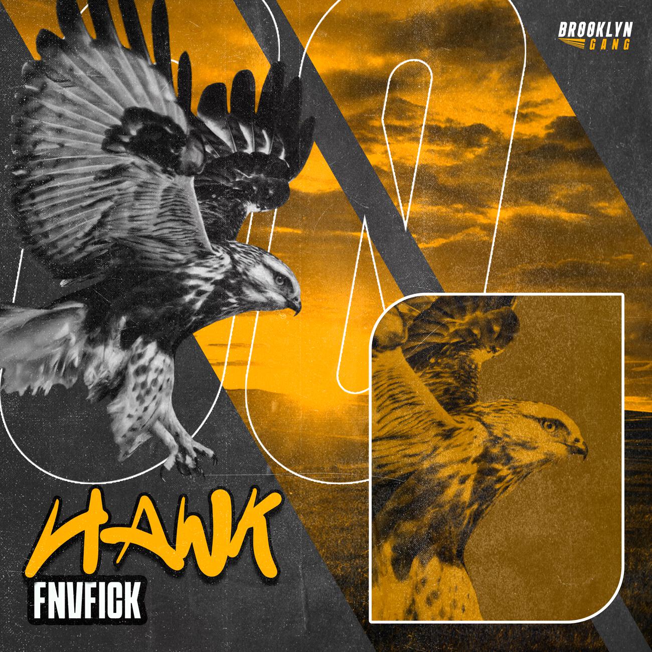 Релиз Hawk