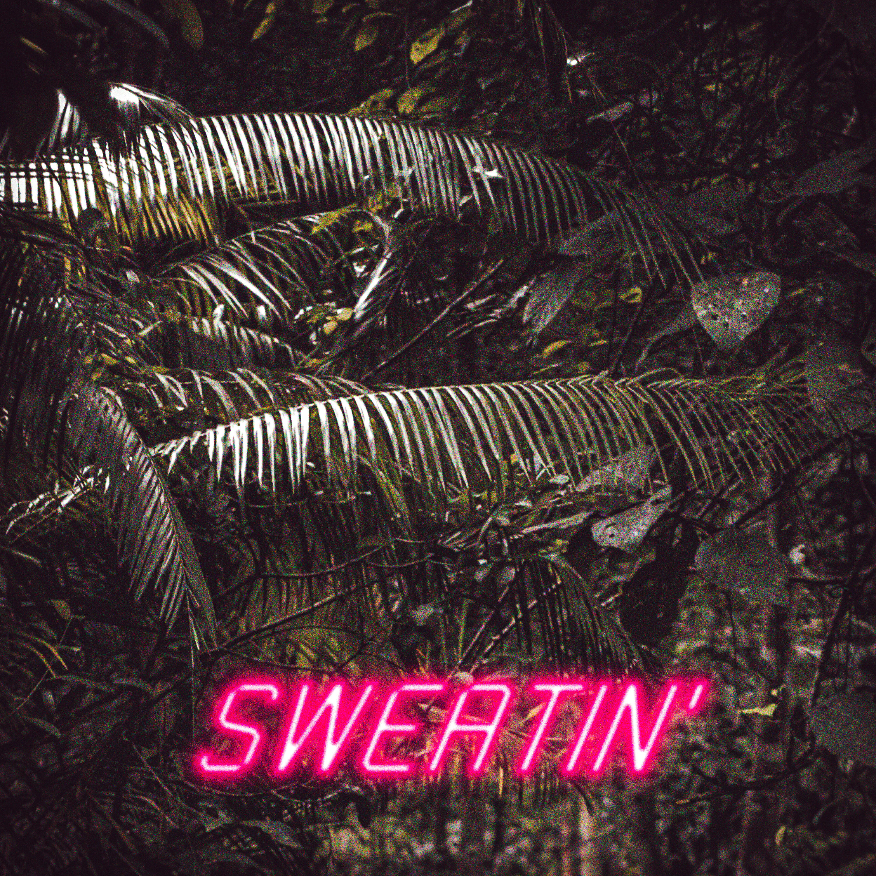 Релиз Sweatin'