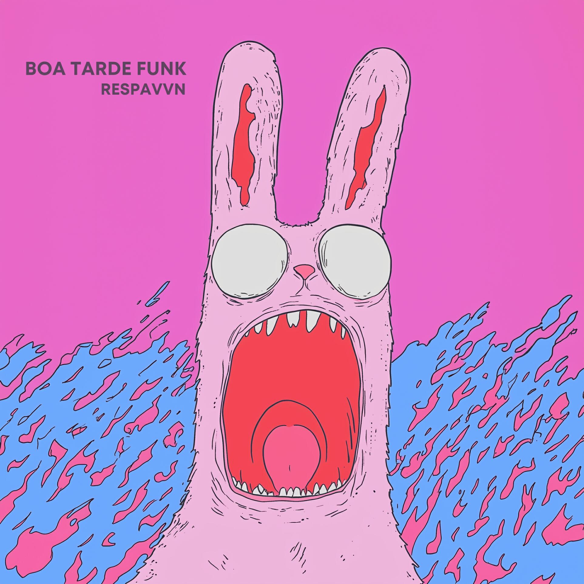 Релиз Boa Tarde Funk