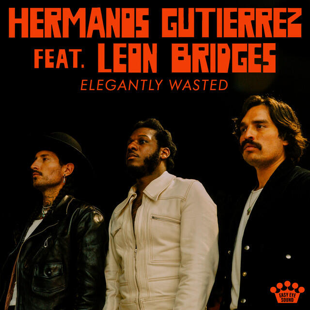 Постер альбома Elegantly Wasted [Feat. Leon Bridges]