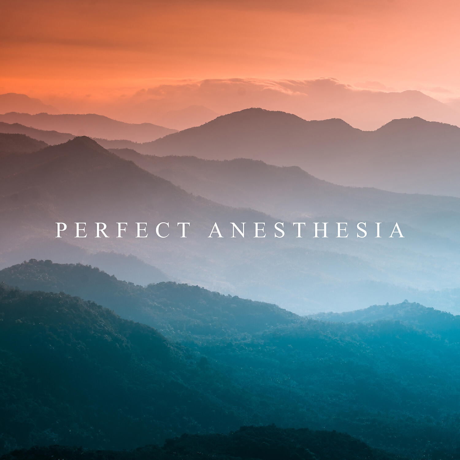 Beautiful Nature Music Paradise
