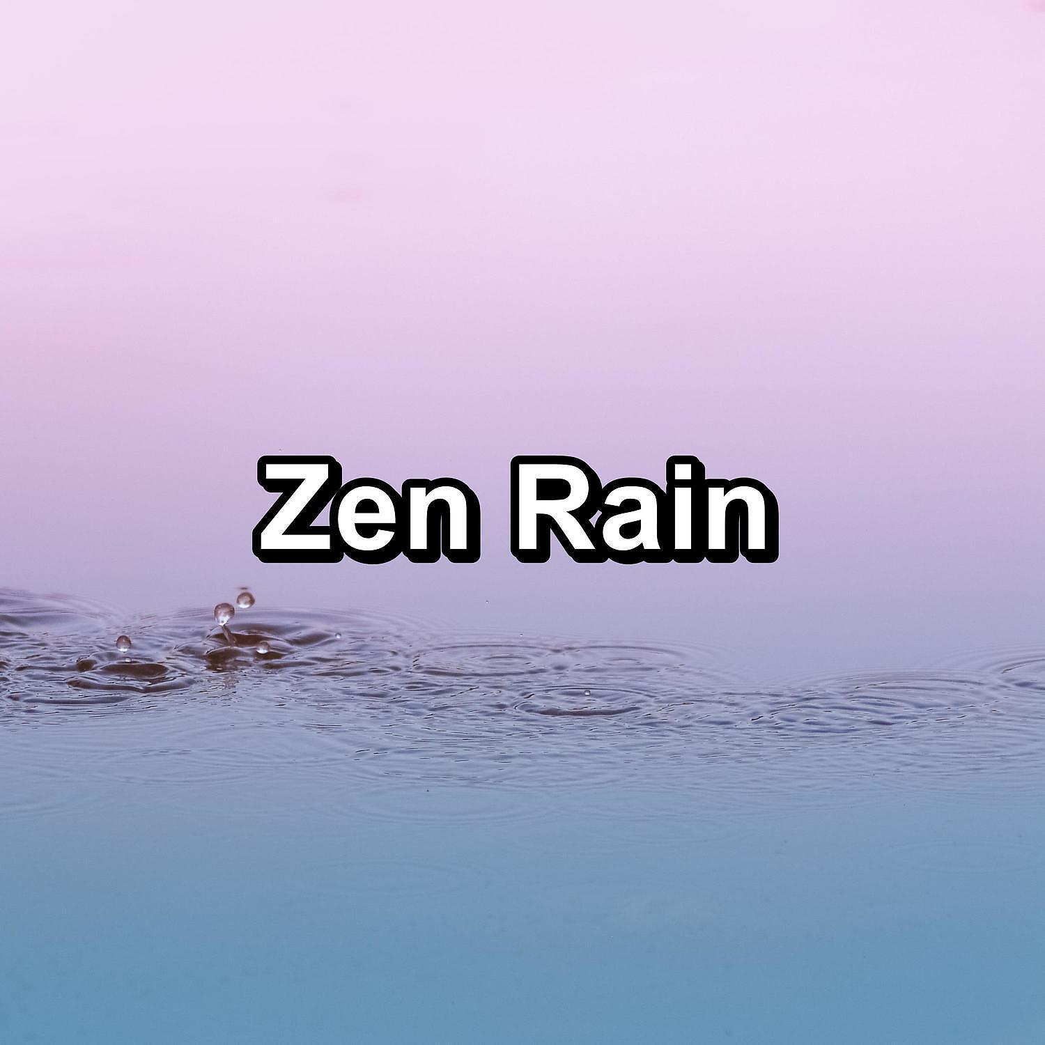 Постер альбома Zen Rain
