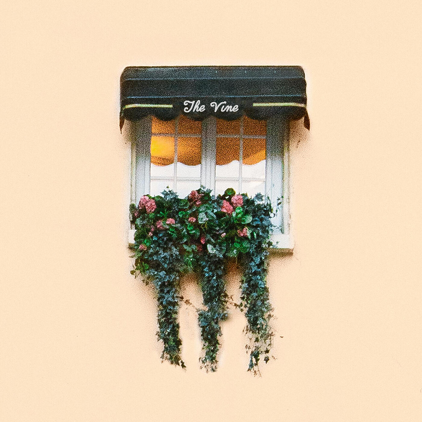 Релиз The Vine