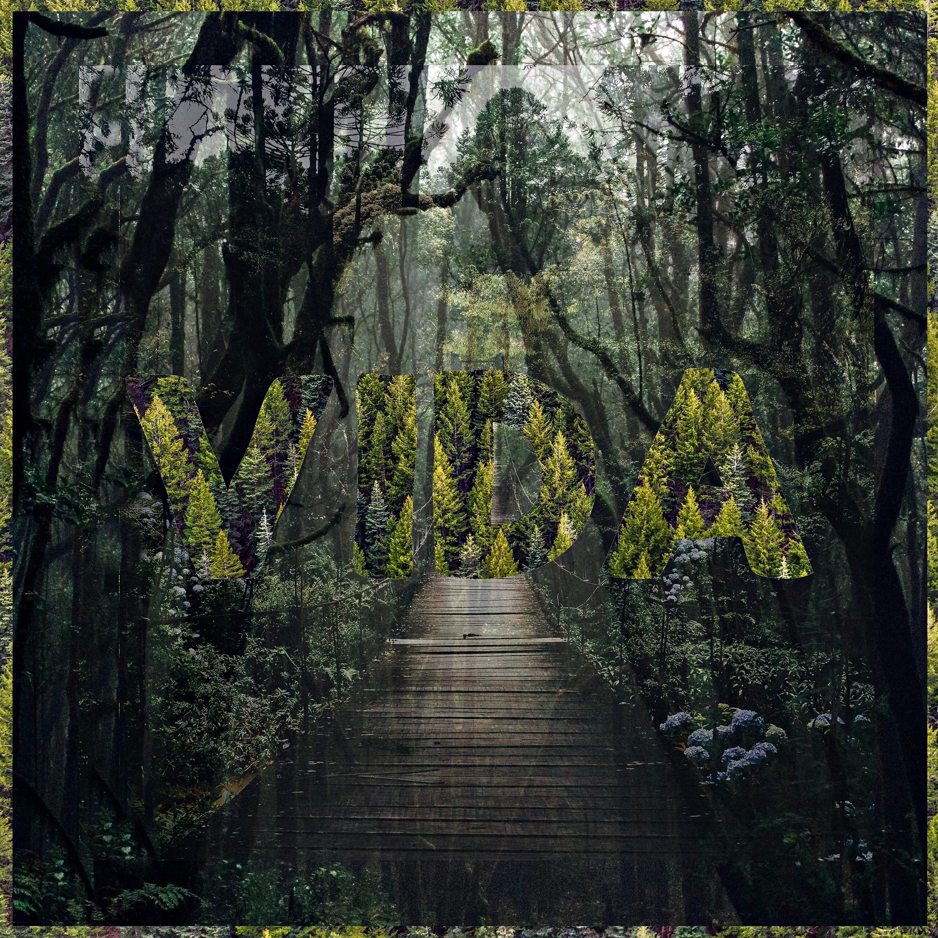 Релиз Vida