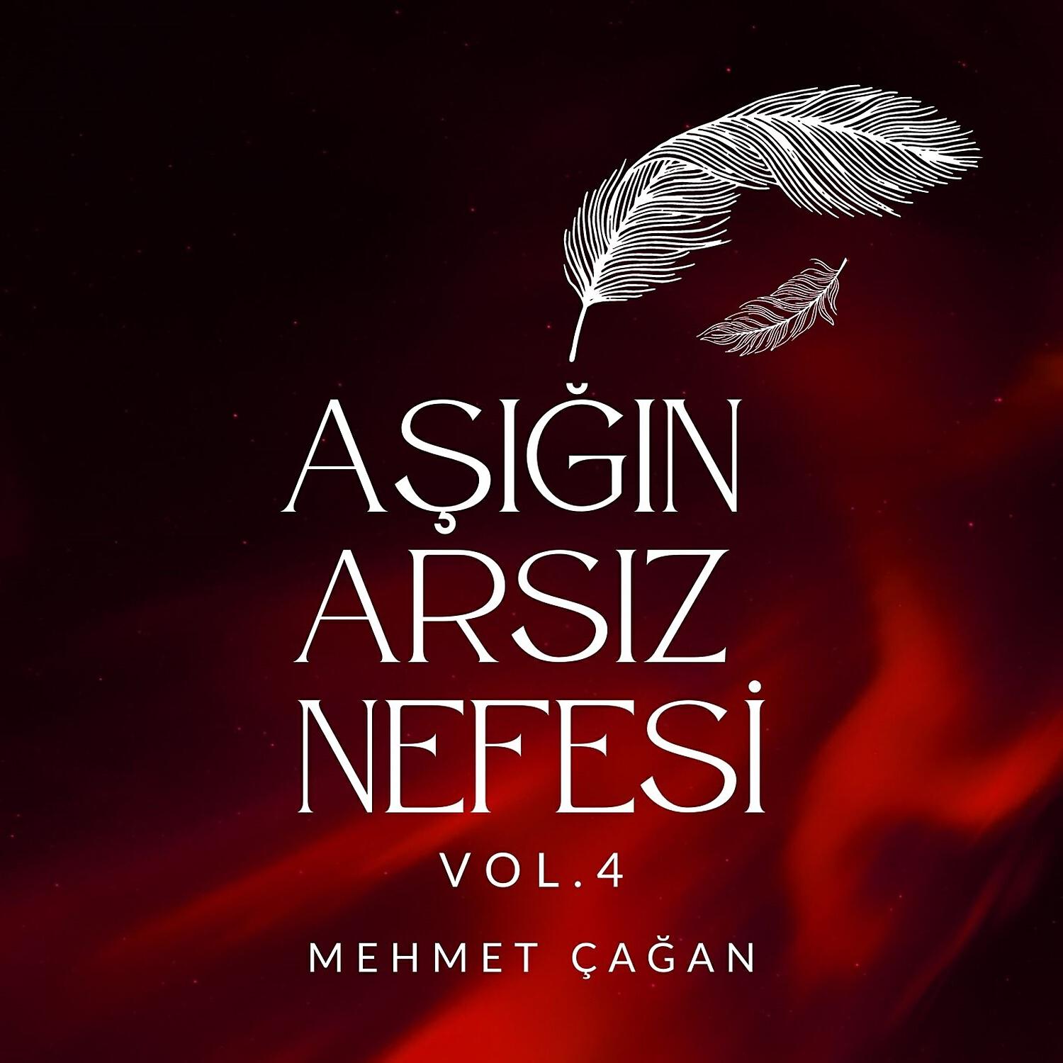 Релиз Aşığın Arsız Nefesi, Vol. 4