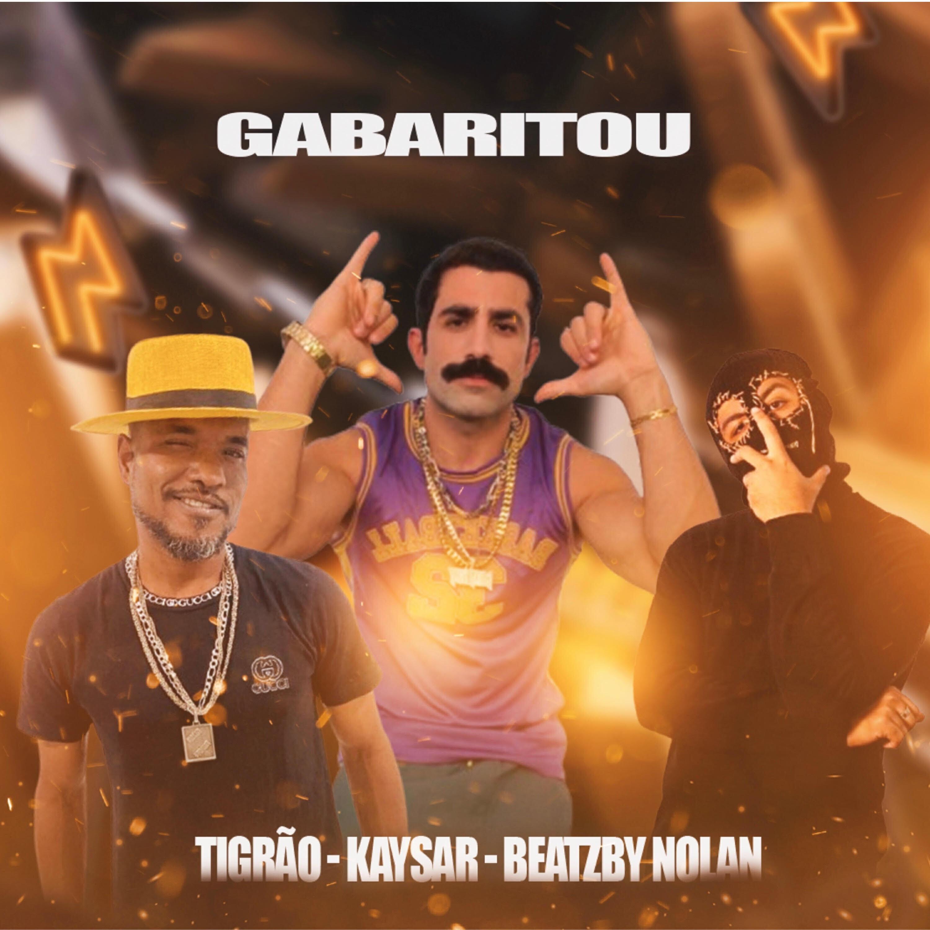 MC Tigrão все песни в mp3