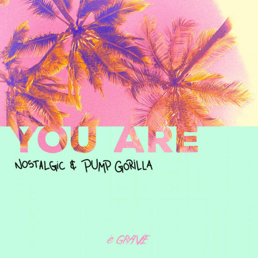 Релиз You Are
