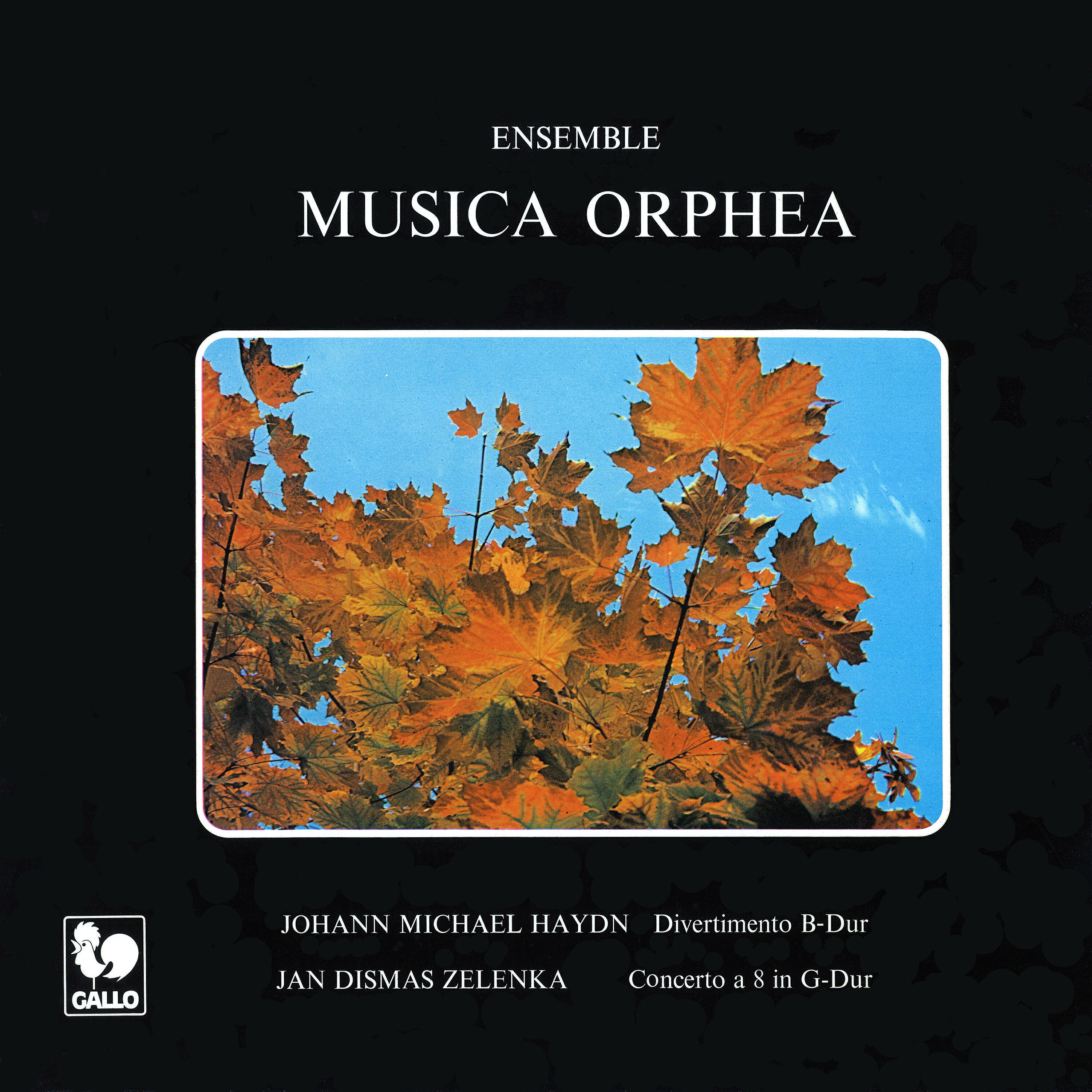 Релиз Michael Haydn: Divertimento in B-Flat Major, MH 199 - Zelenka: Concerto à 8 concertanti in G Major, ZWV 186