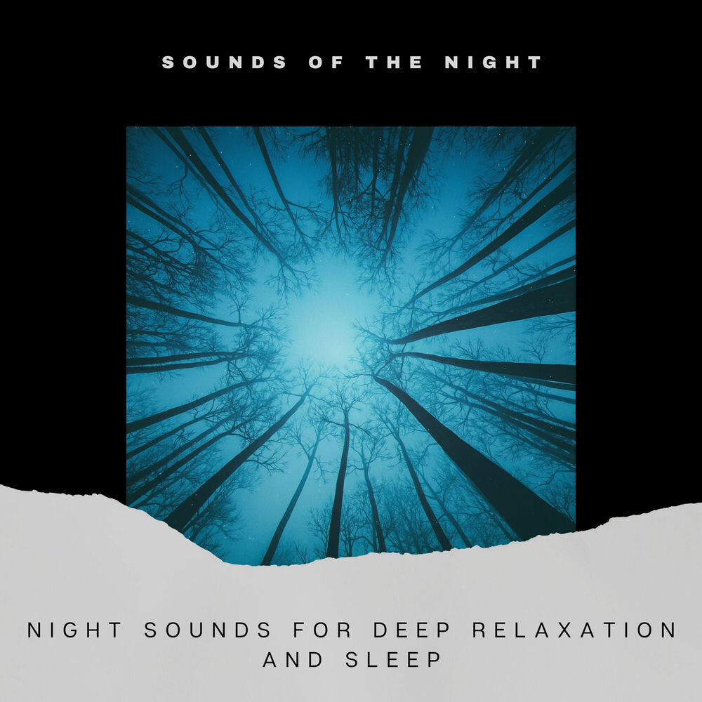 Релиз Night Sounds for Deep Relaxation and Sleep