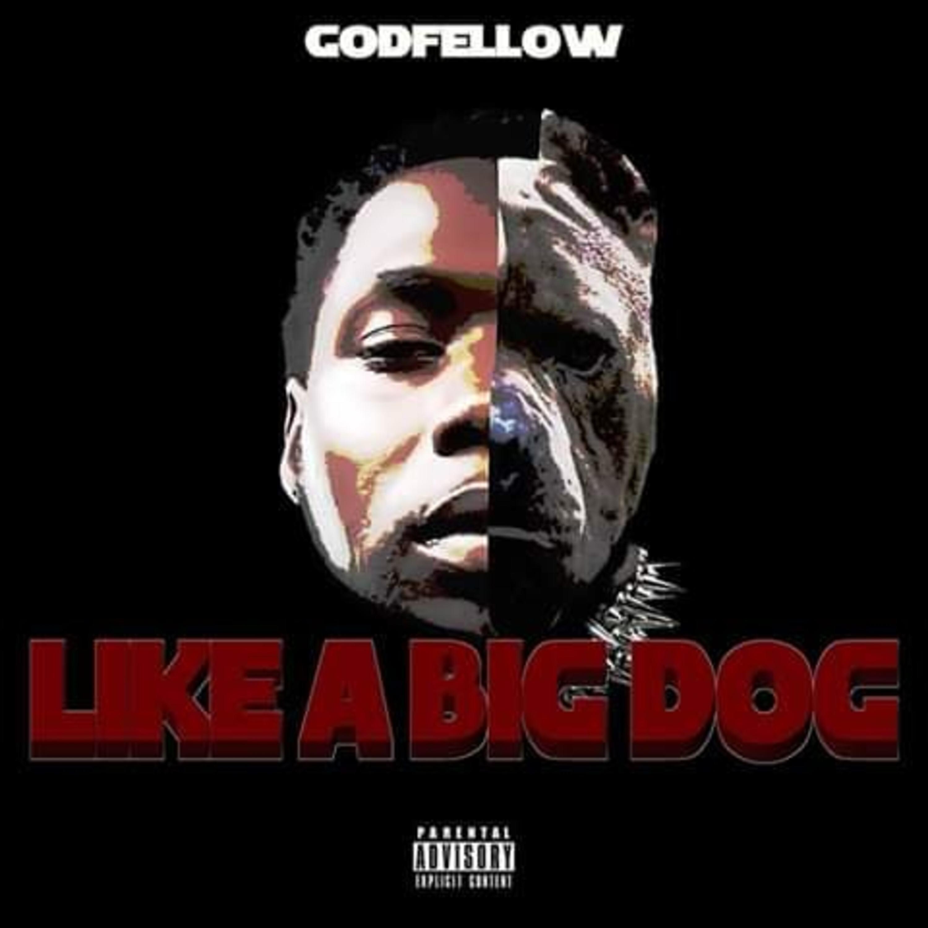 Релиз Like A Big Dog