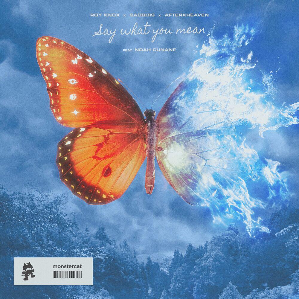 Релиз Say What You Mean