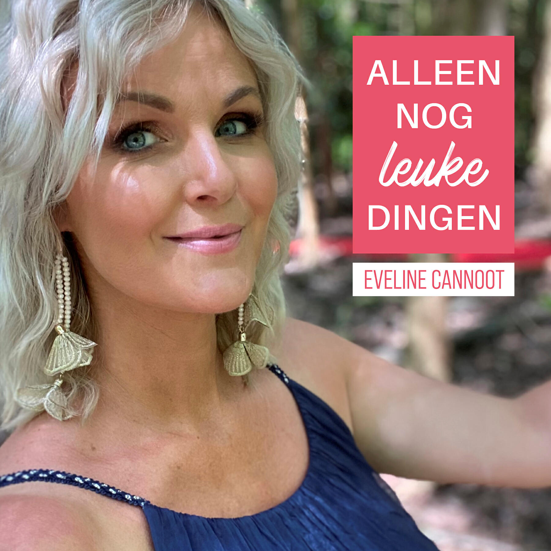 Релиз Alleen Nog Leuke Dingen