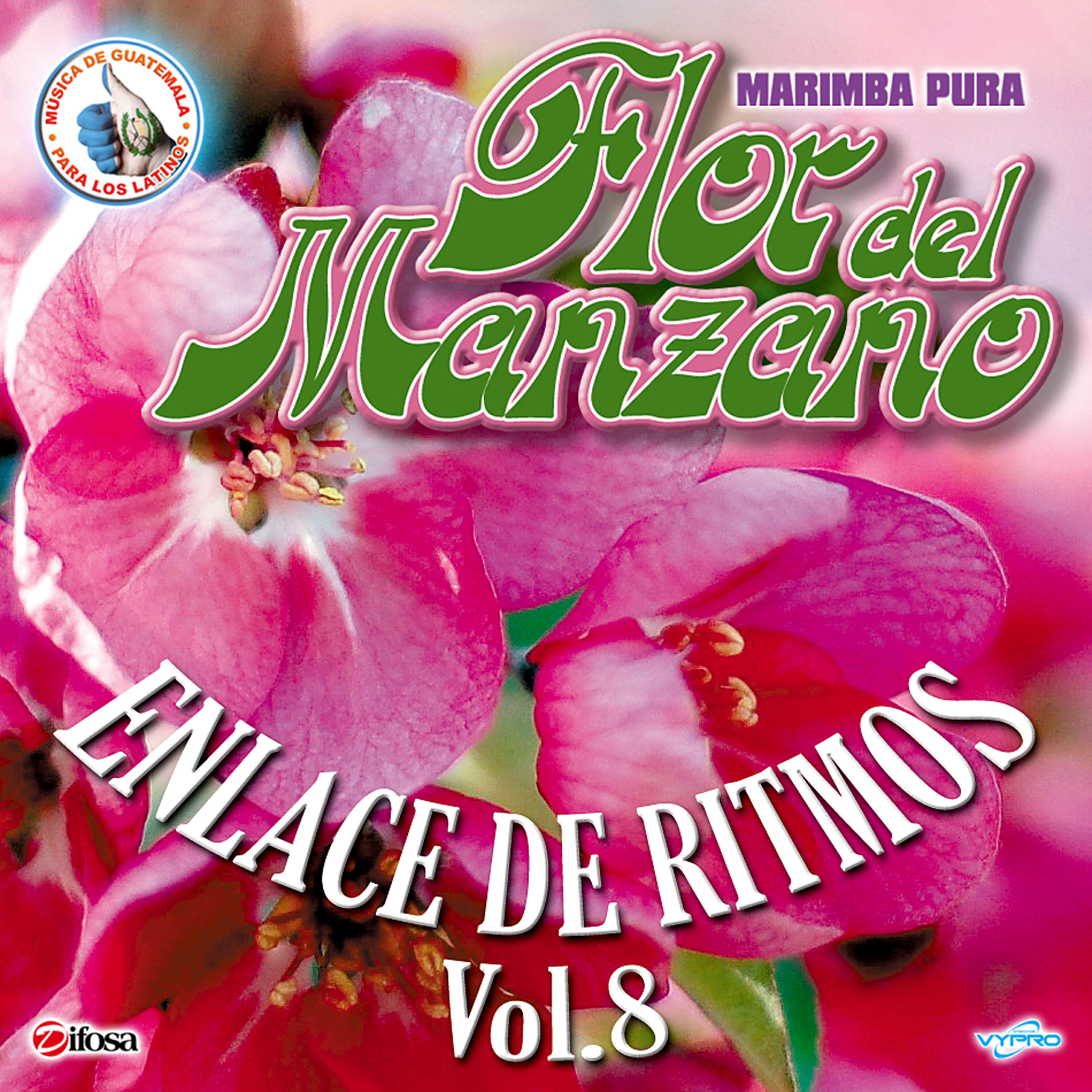 Релиз Enlace de Ritmos Vol. 8. Música de Guatemala para los Latinos