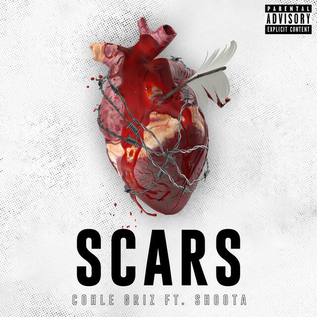 Релиз SCARS