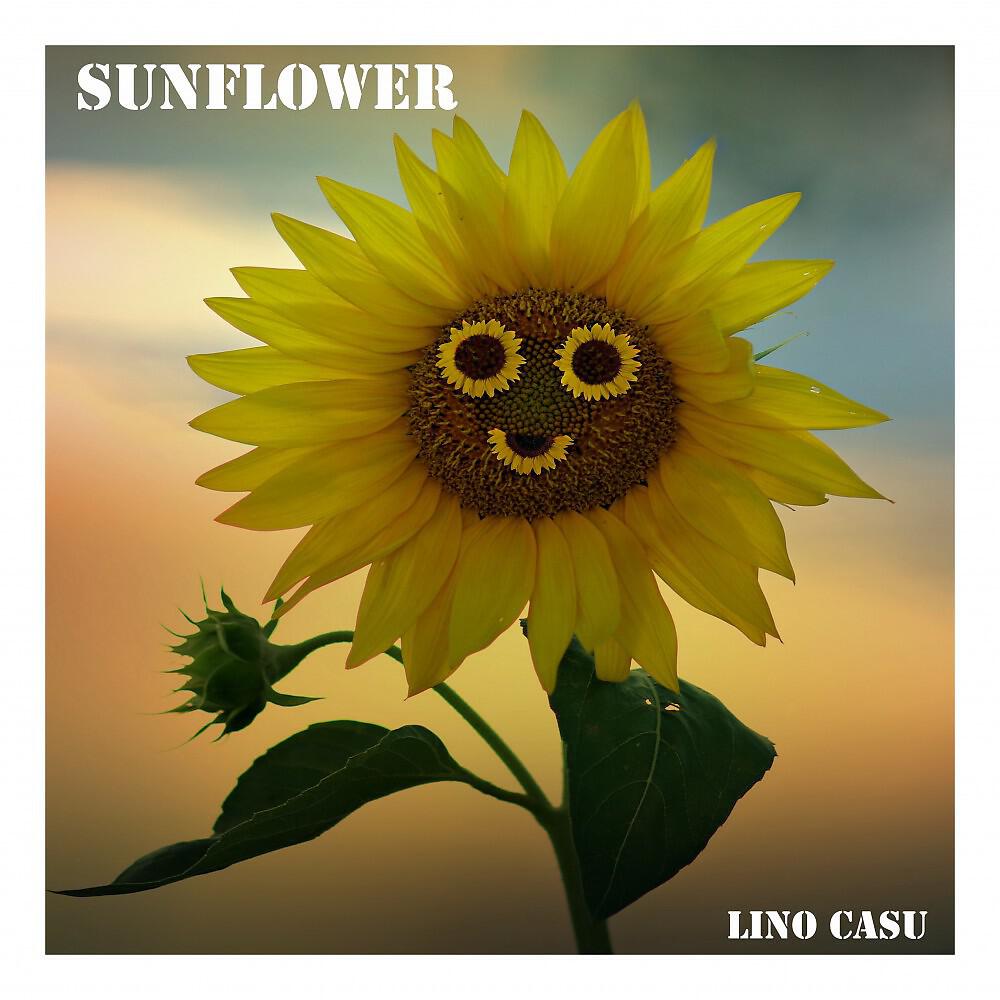 Релиз Sunflower
