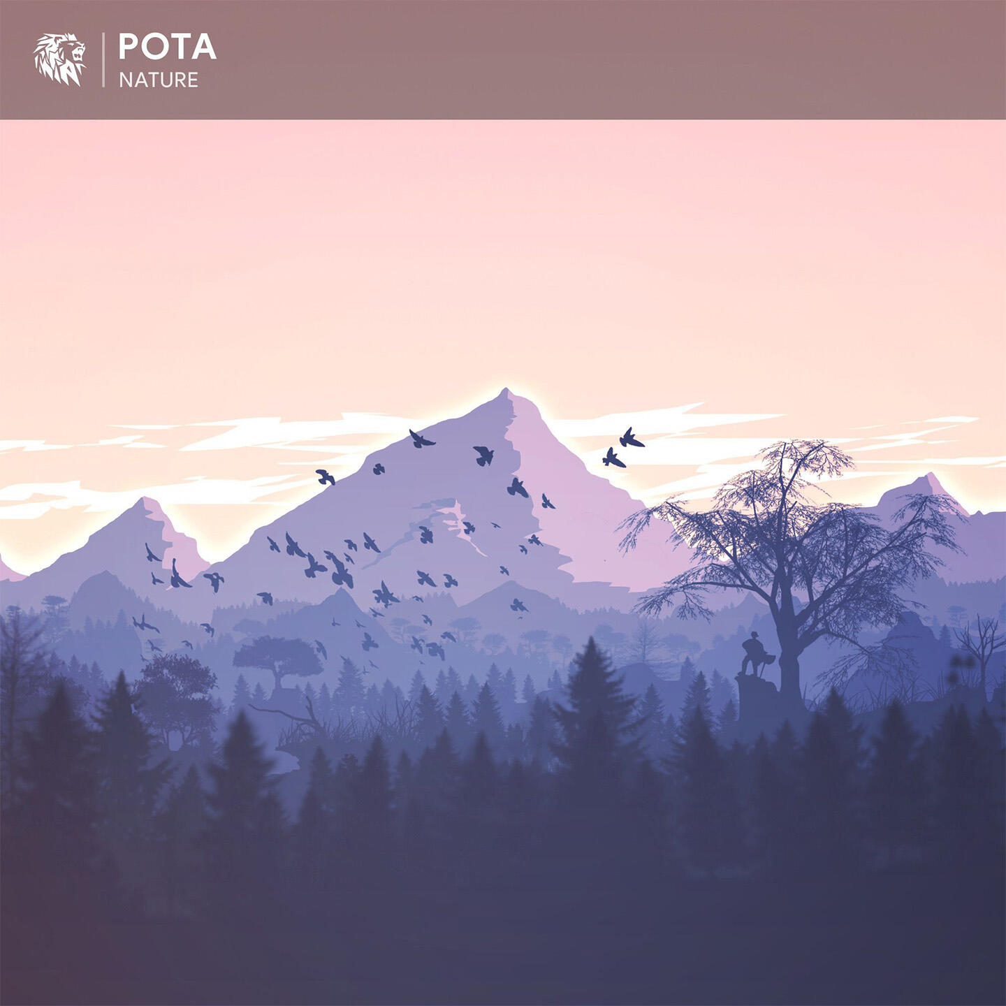 Pota