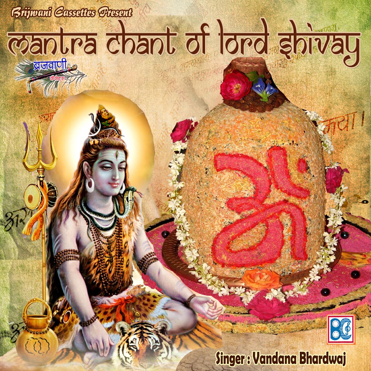 Релиз Mantra Chant of Lord Shivay