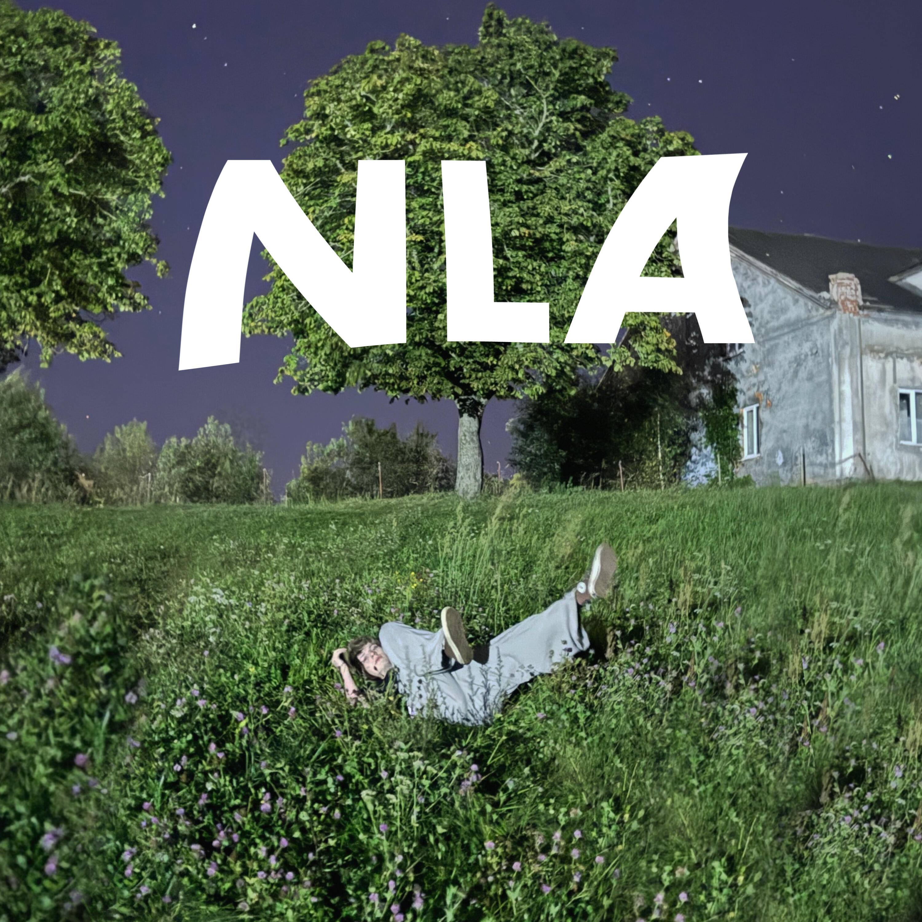 Релиз Nla