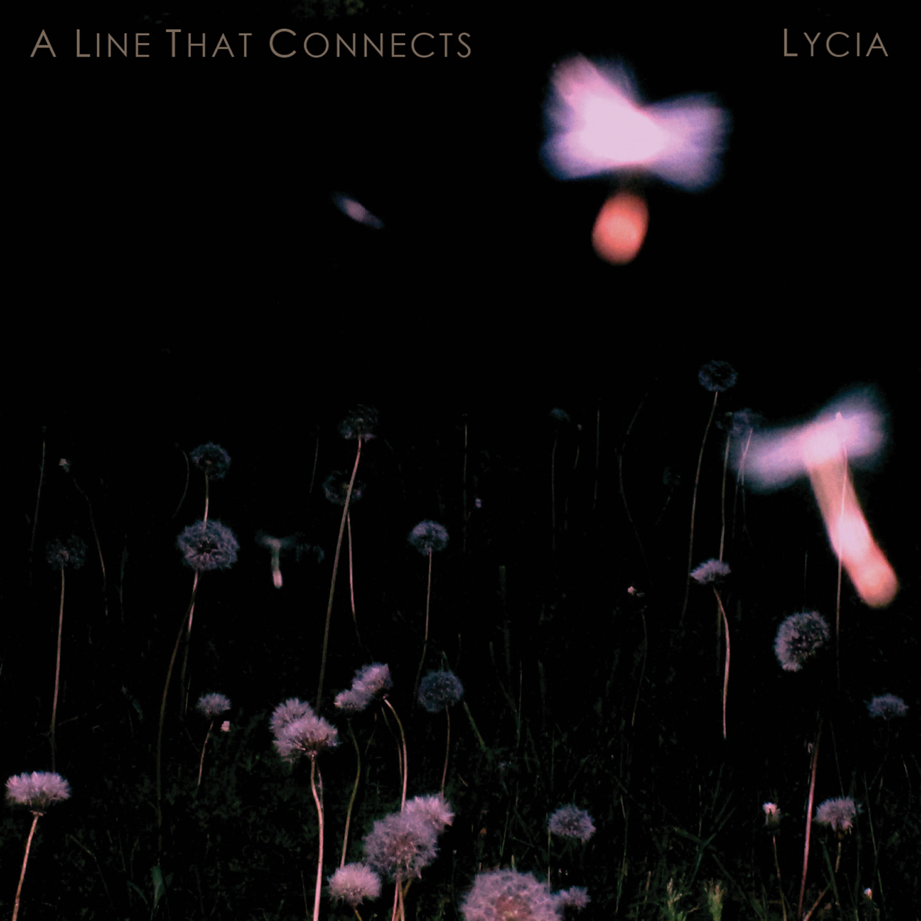 Постер альбома A Line That Connects