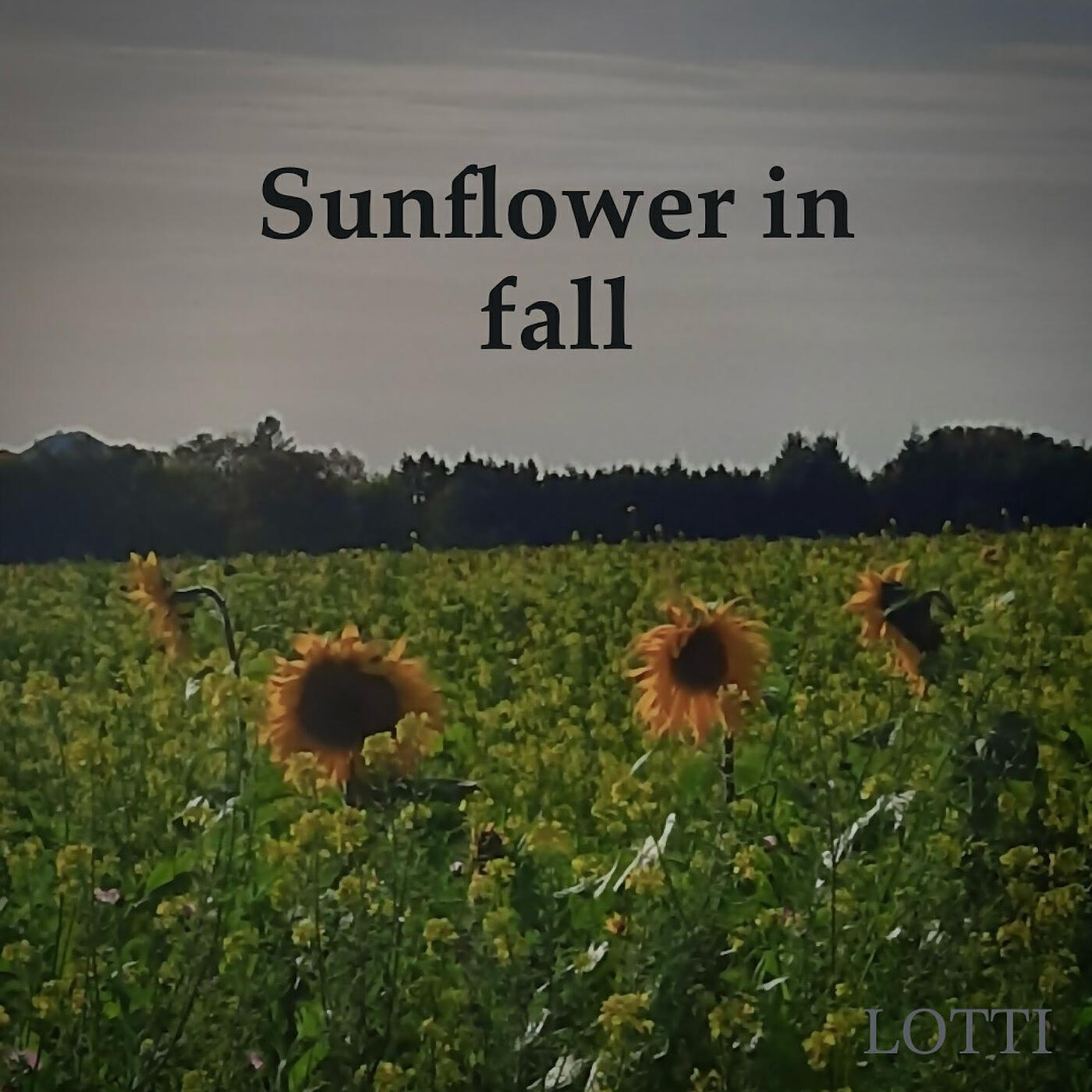 Релиз Sunflower in Fall
