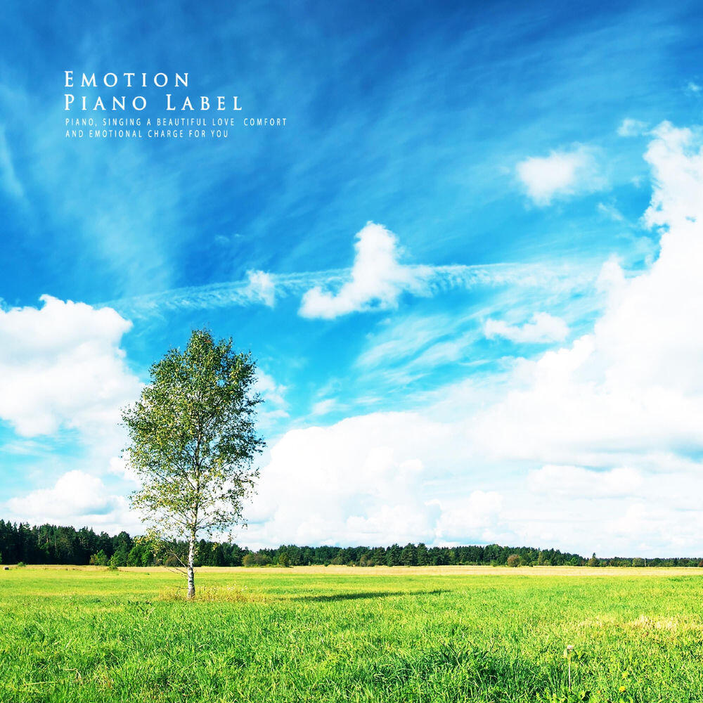 Релиз Meditation time to calm body and mind
