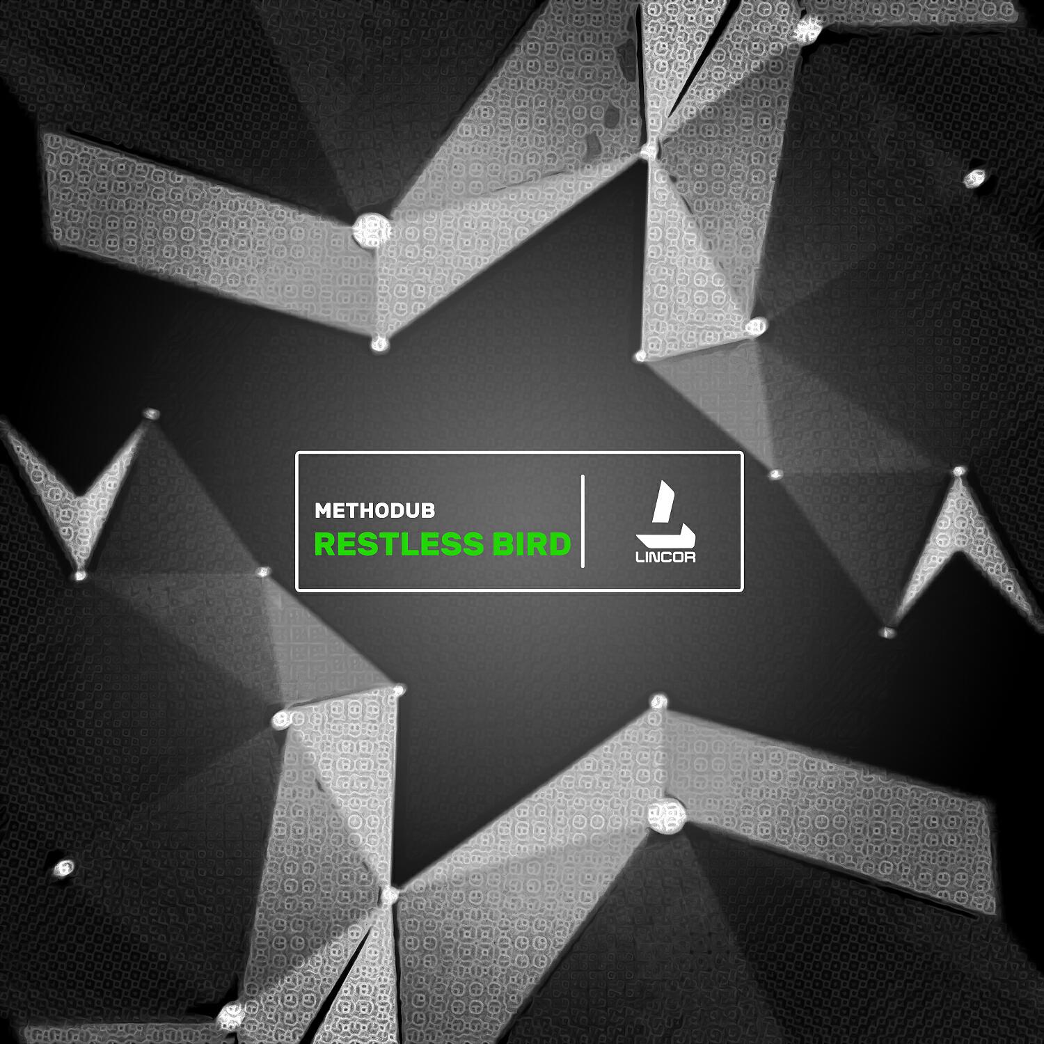 Релиз Restless Bird