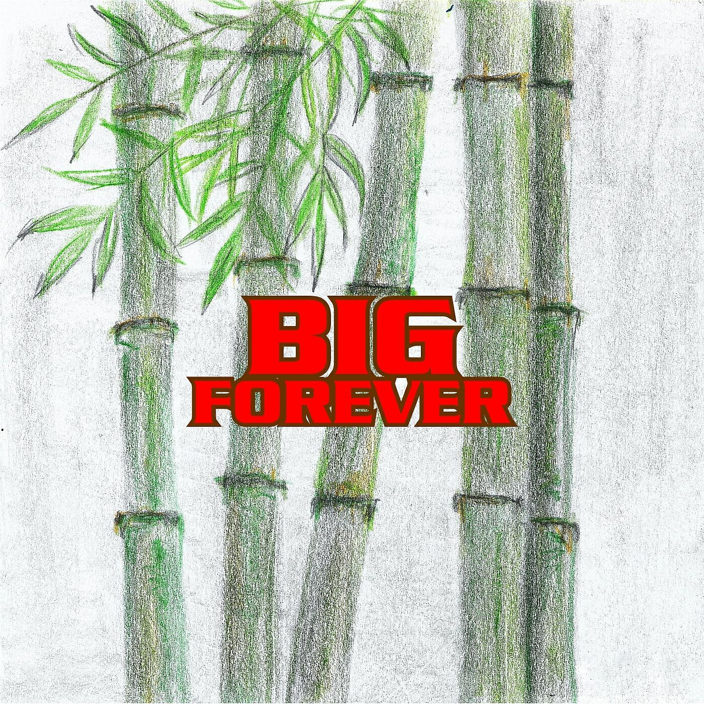 Релиз Big Forever