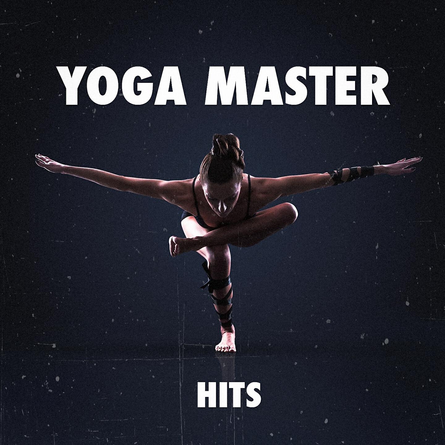 Релиз Yoga Master Hits