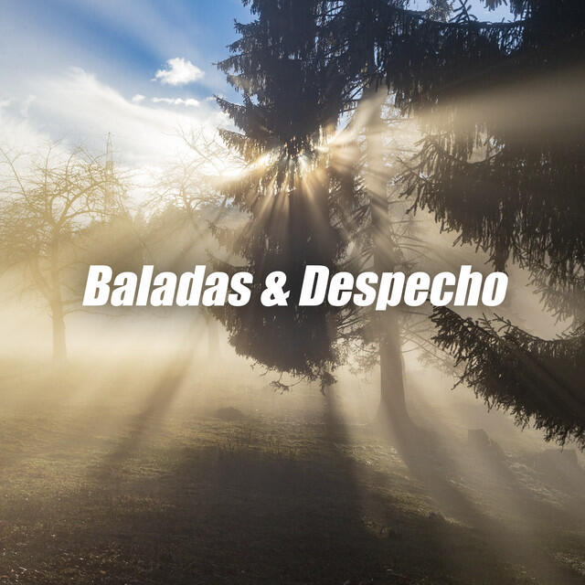 Релиз Baladas & Despecho