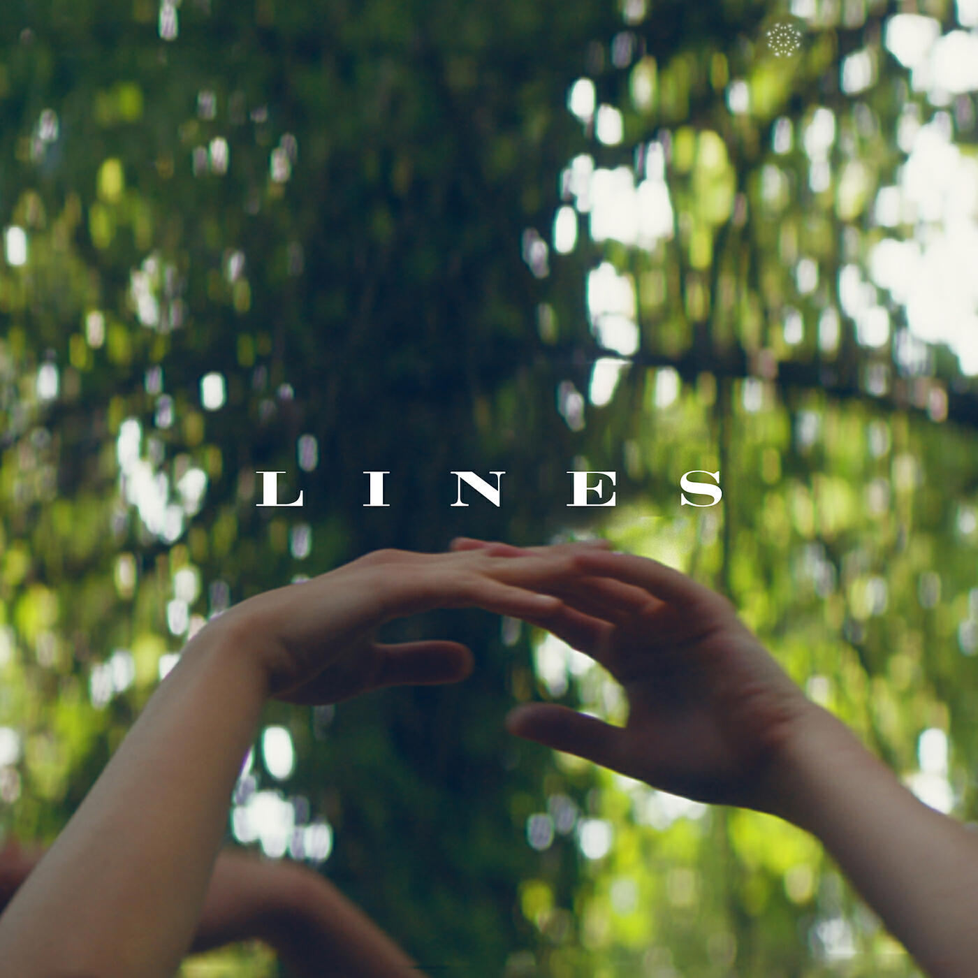 Релиз Lines
