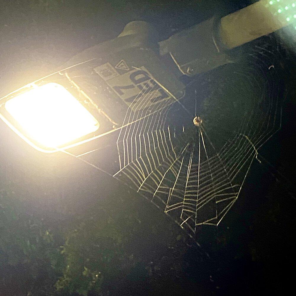 Релиз Deep Connections