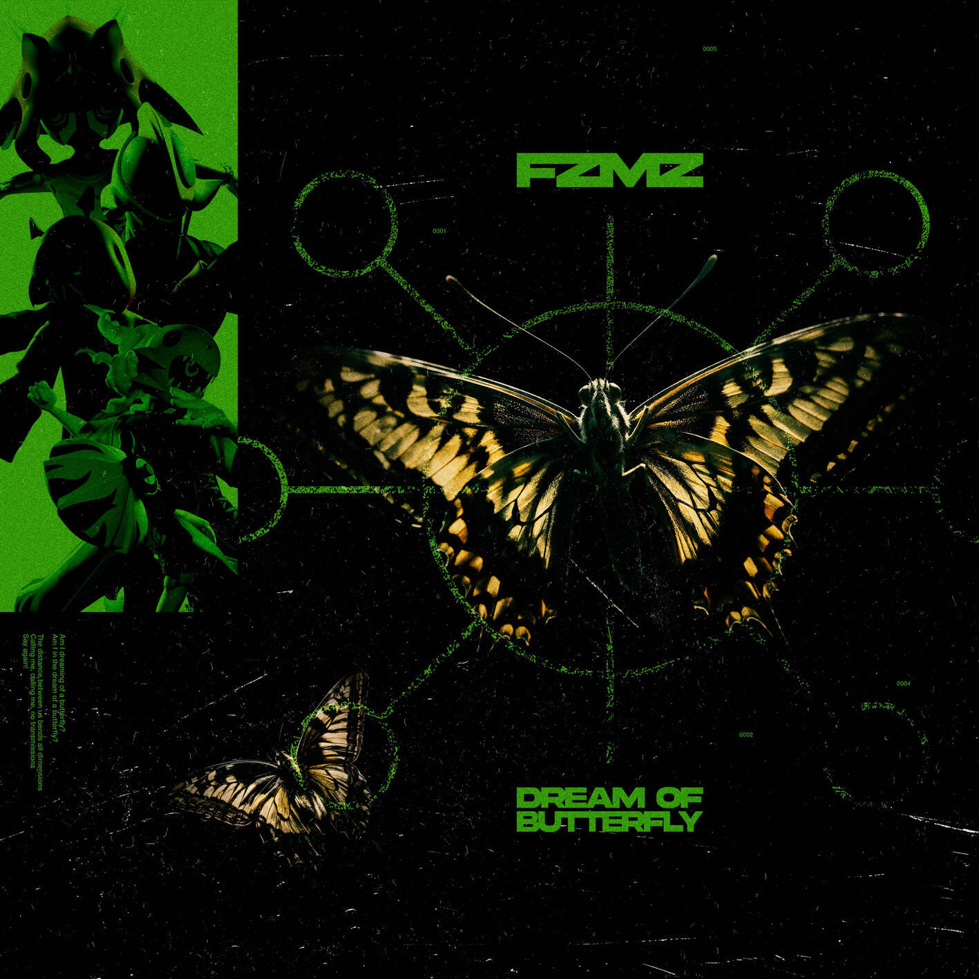 Релиз DREAM OF BUTTERFLY