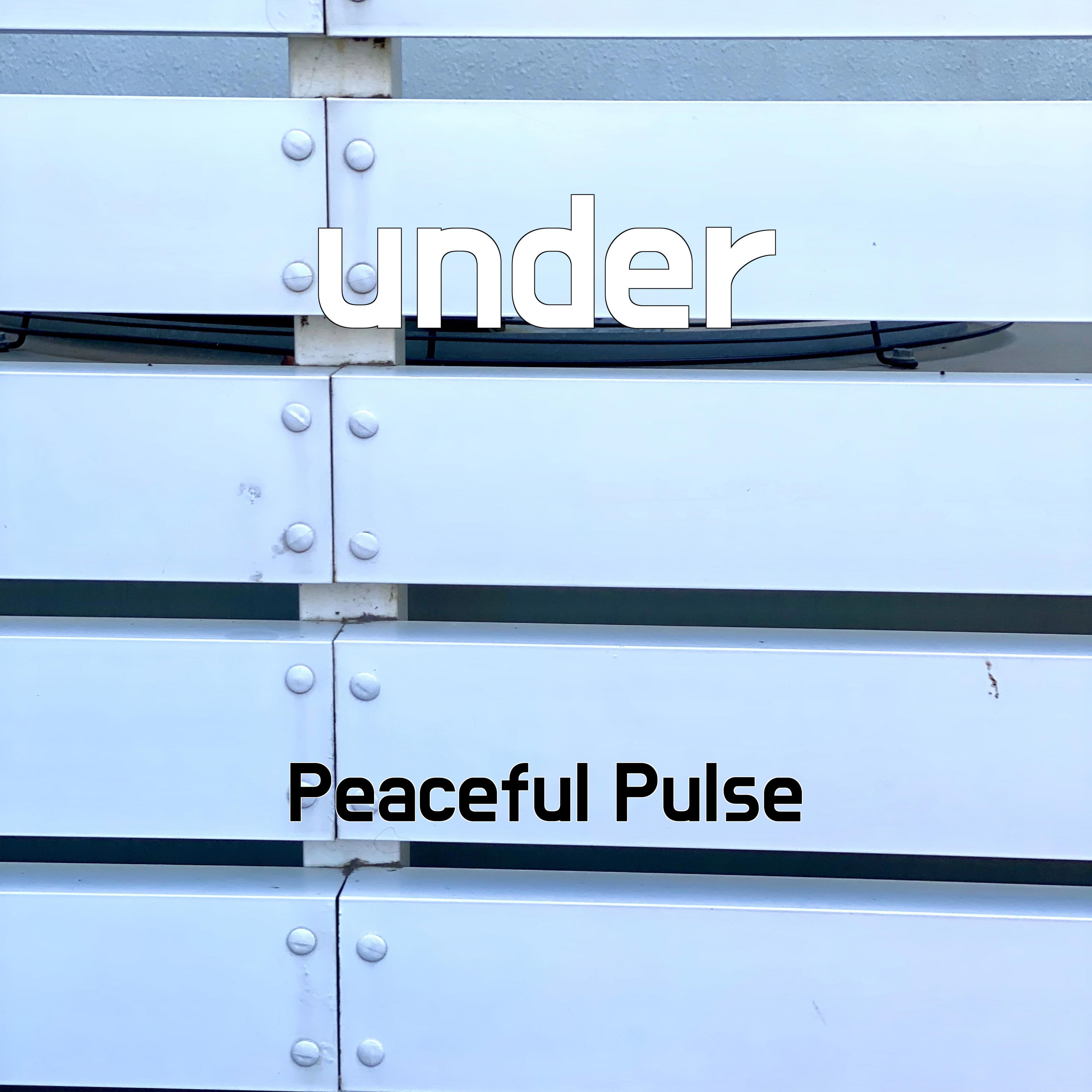 Релиз under