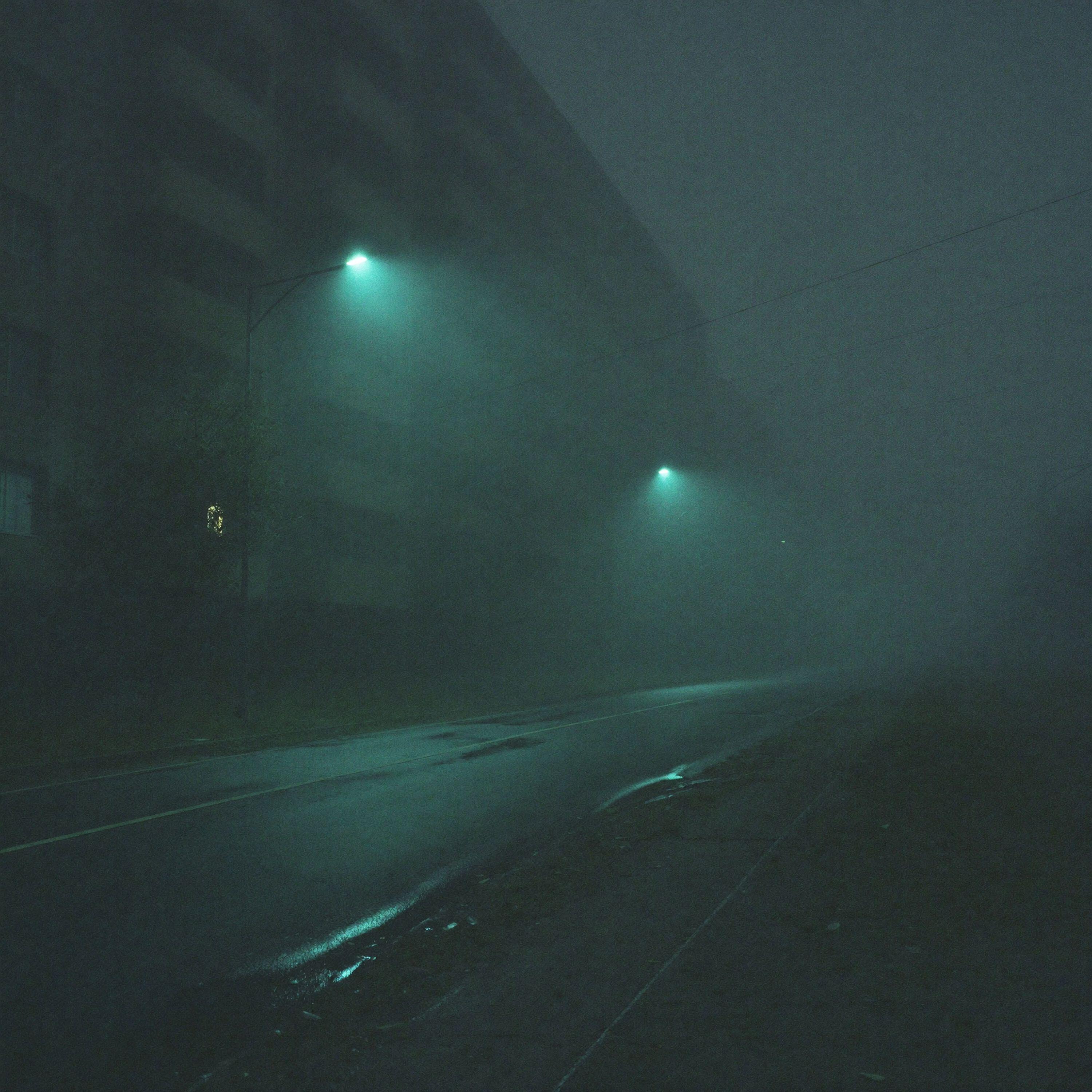 Релиз felt nothing