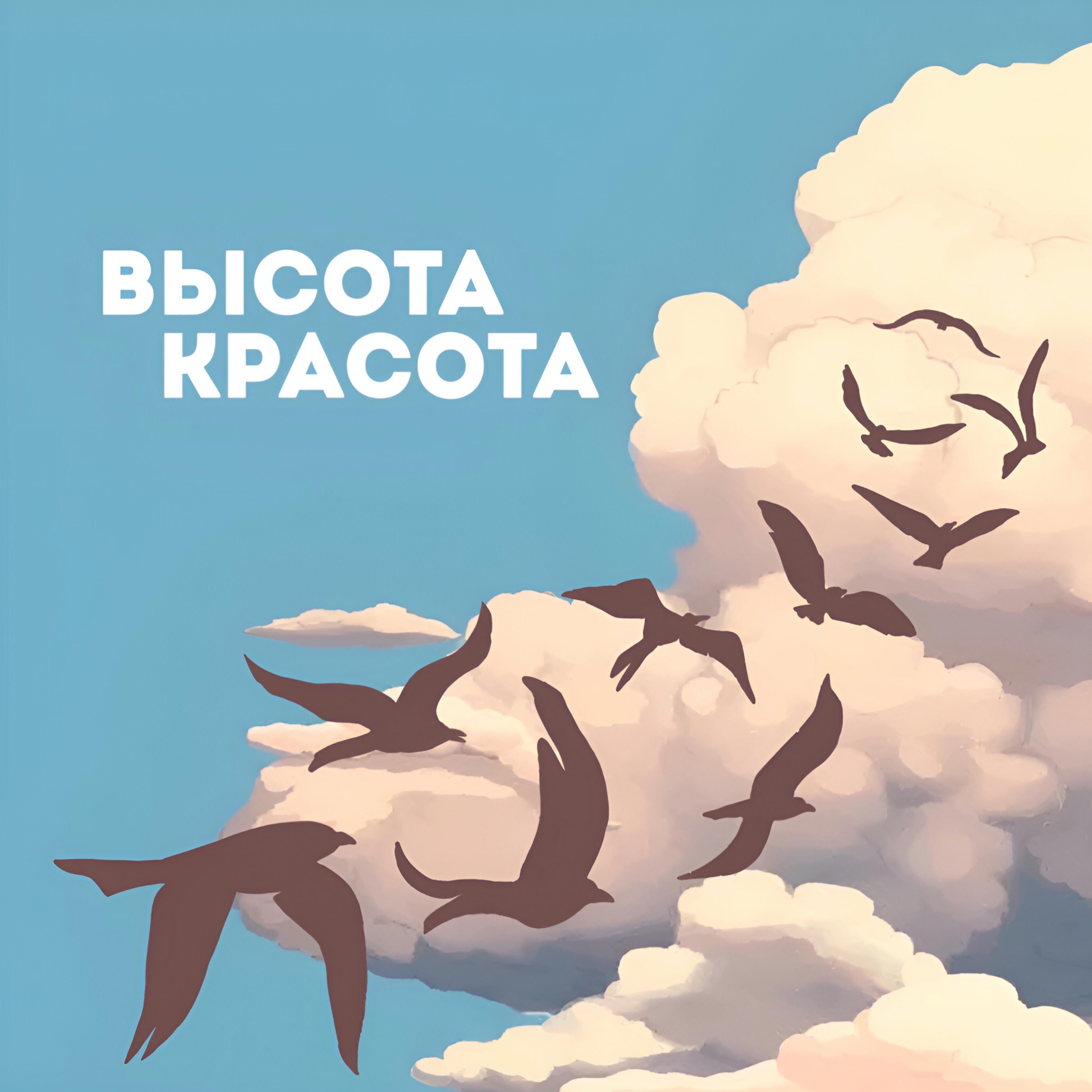 Релиз Высота, красота