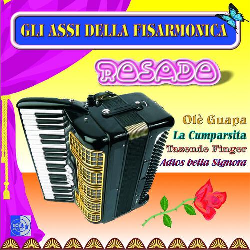 Glia Assi Della Fisarmonica