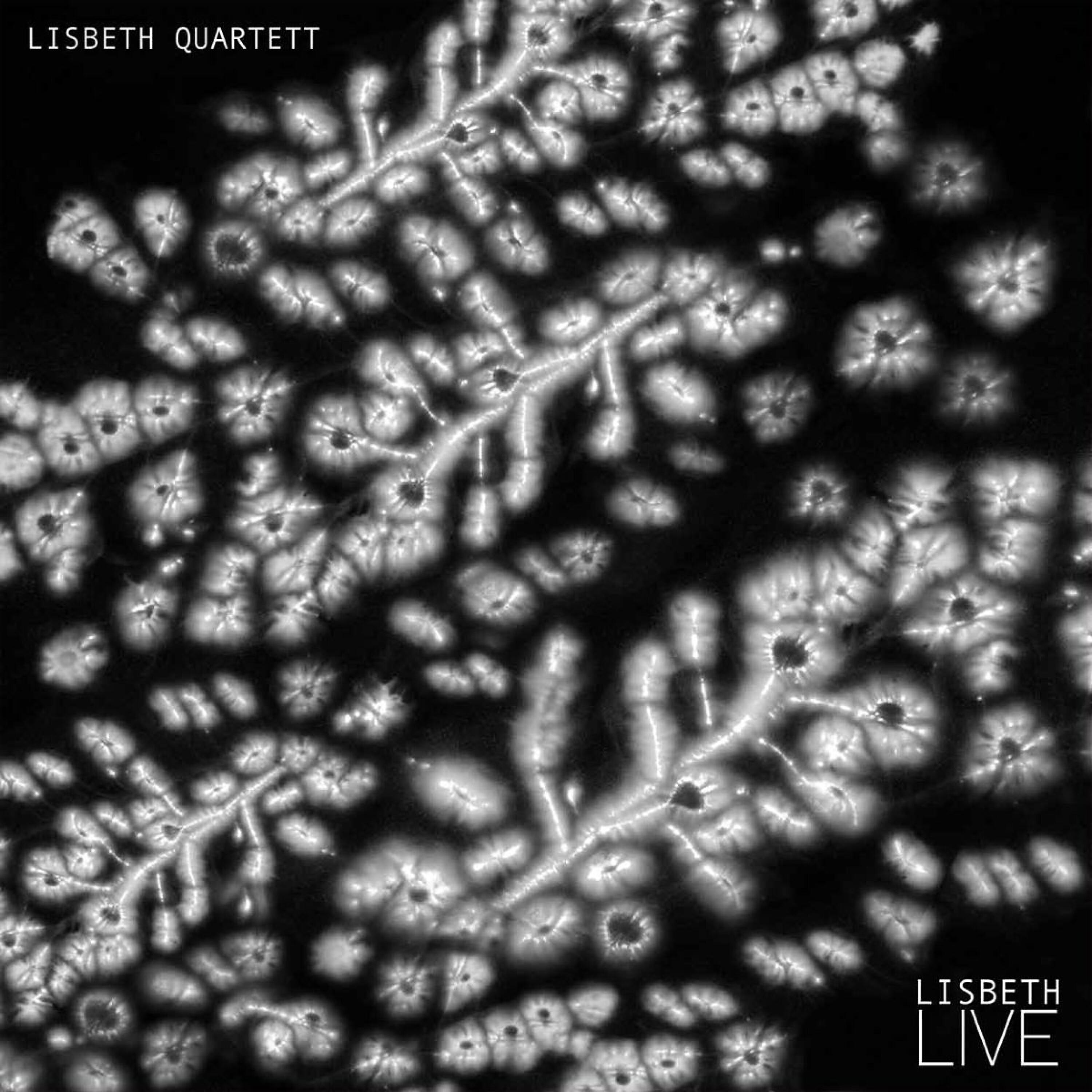 Релиз Lisbeth