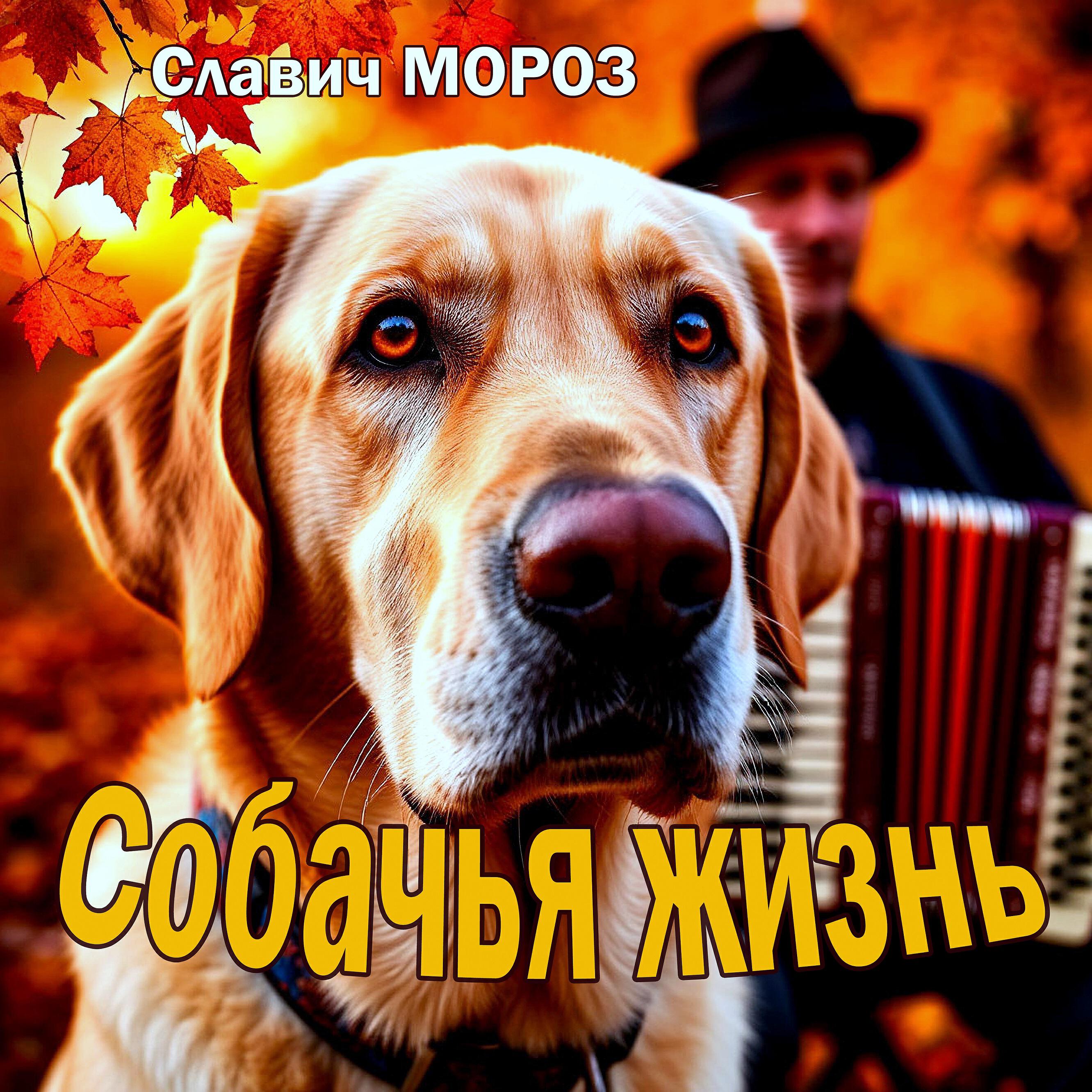 Релиз Собачья жизнь