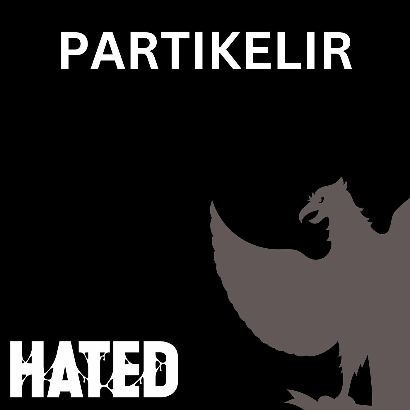 Релиз Partikelir