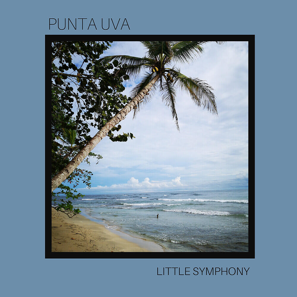 Релиз Punta Uva