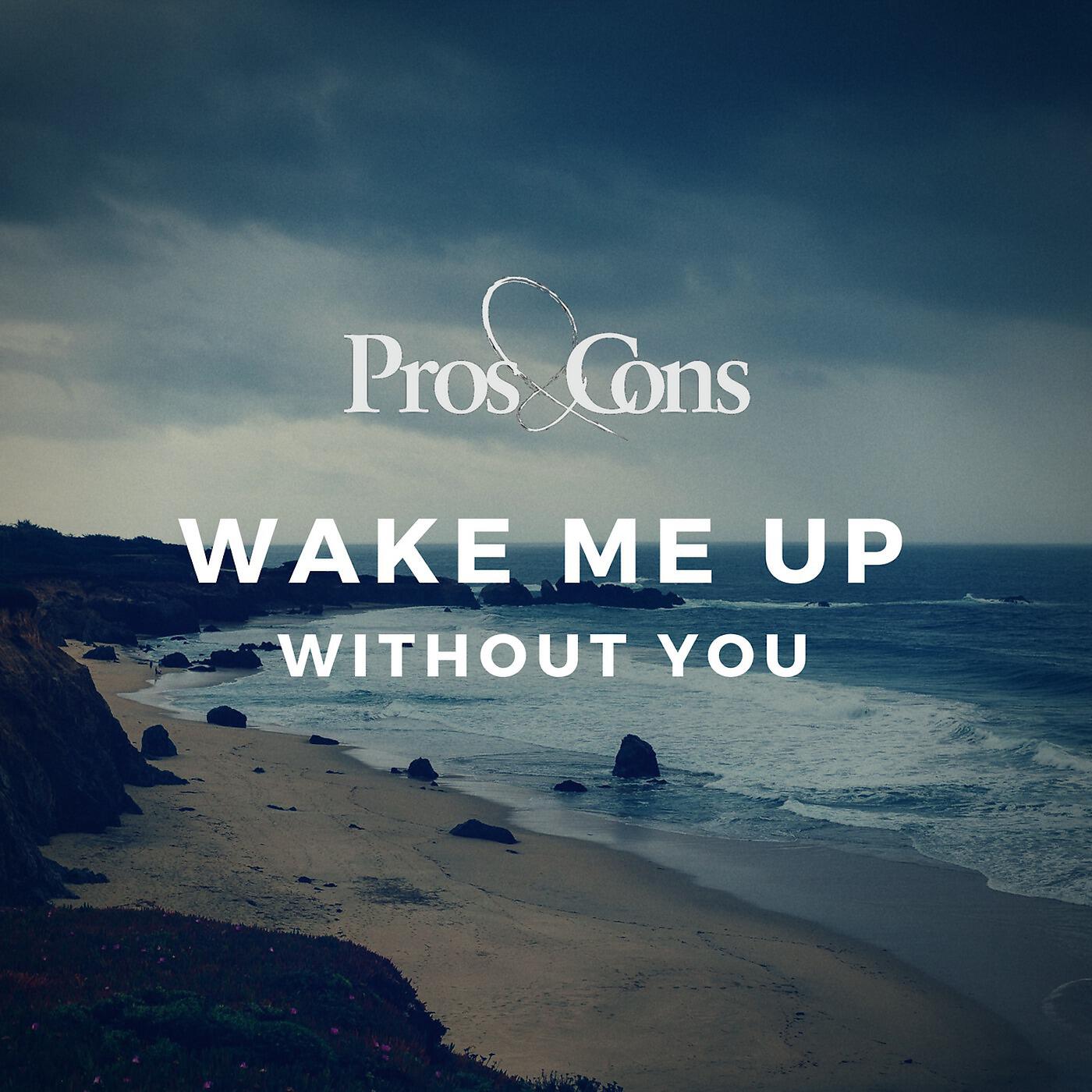 Релиз Wake Me Up / Without You