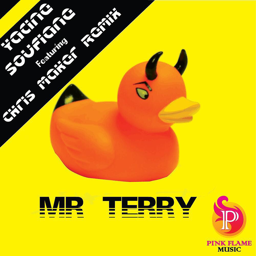 Релиз Mr Terry