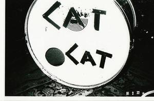 Cat Cat