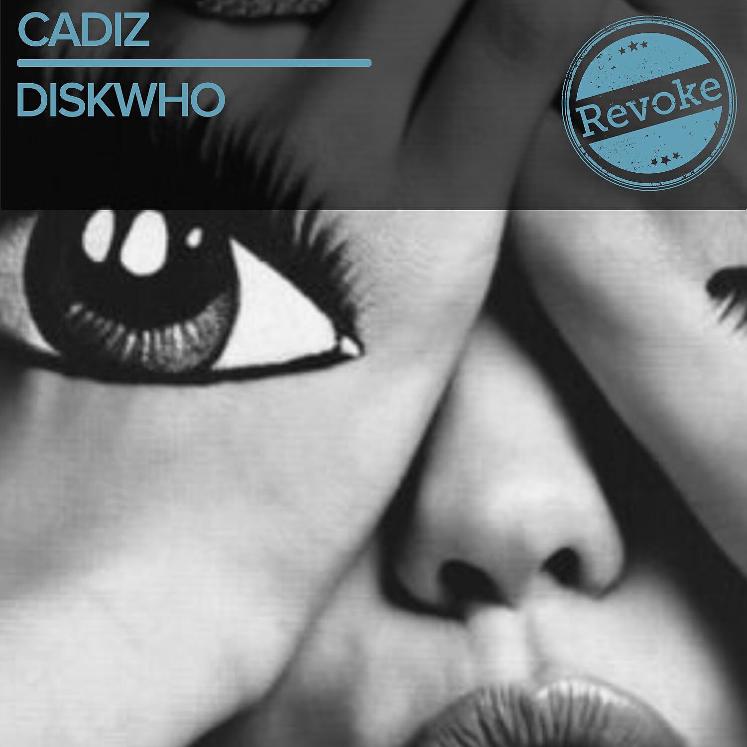 Релиз Diskwho