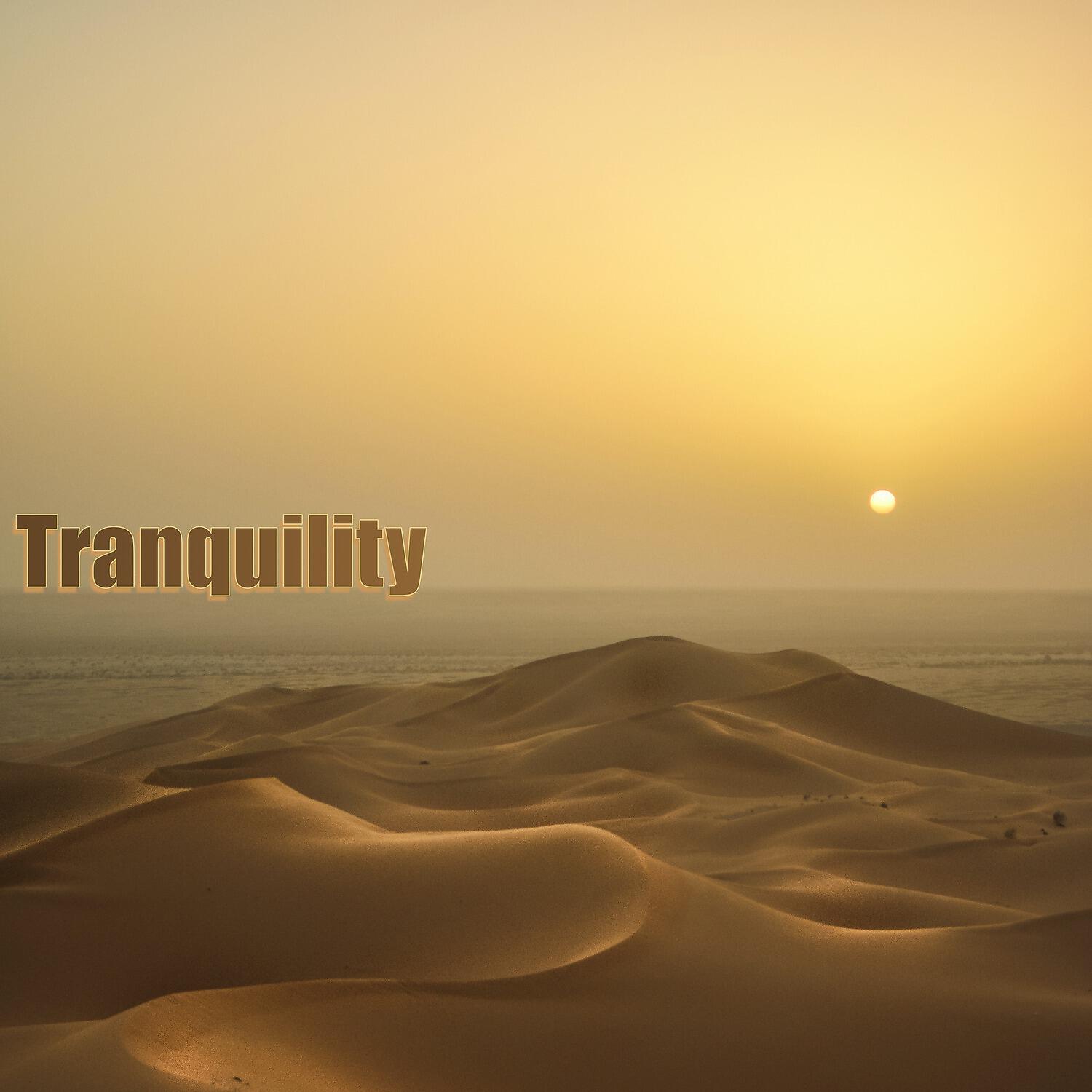 Постер альбома Tranquility