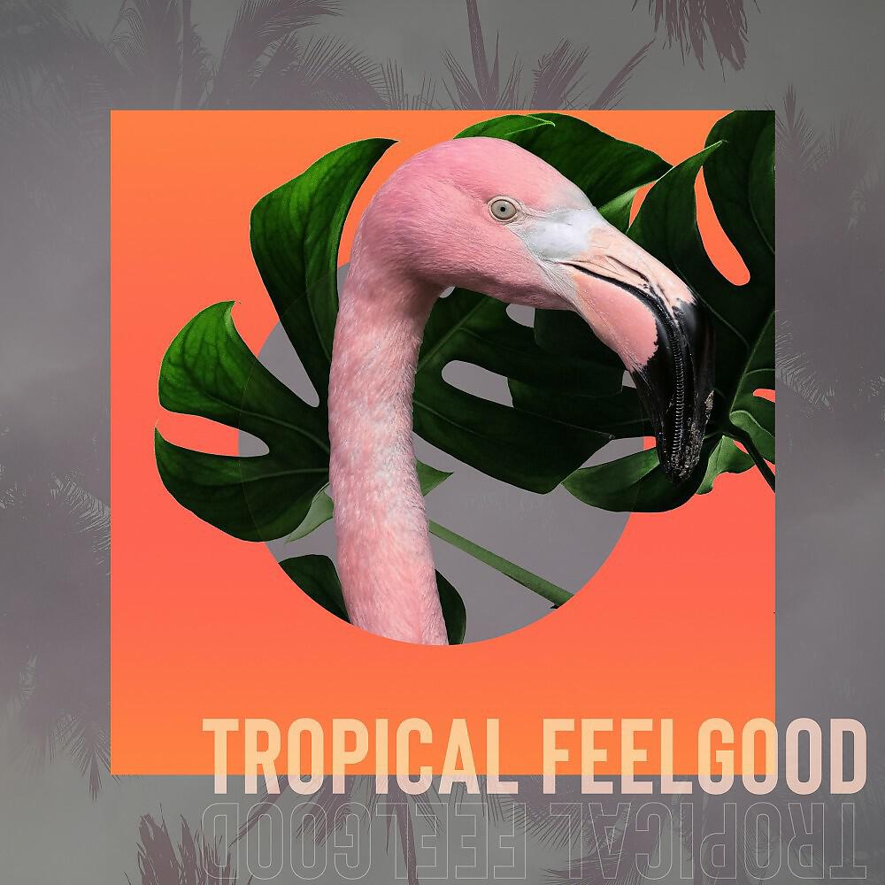 Релиз Tropical Feelgood